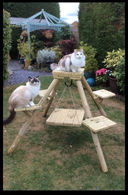 Outdoor cat climbing frame best sale